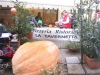 Halloween in via Cavallotti